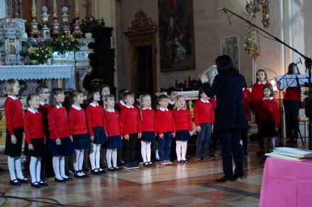 Concerti - Massimiliano (Max) Ceschia